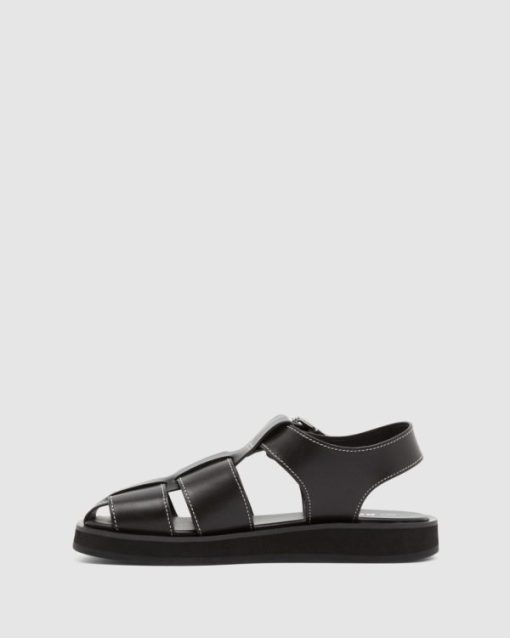 Arvenzo.shop61f36ba7a3 8